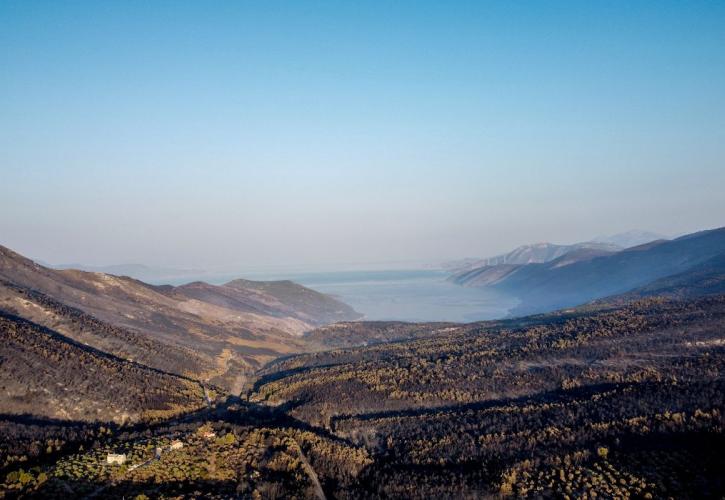 Δυτική Αττική: Τι θα γίνει με τα 113.000 καμένα στρέμματα πριν από τις πρώτες βροχές