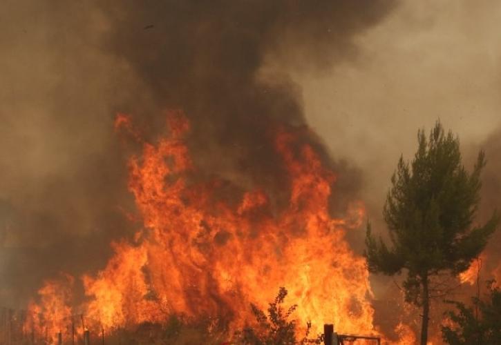 Φωτιά σε γεωργική έκταση στην Πύλο