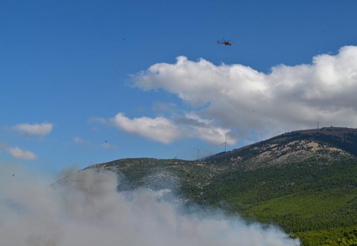 ΠΣ: Δύο συλλήψεις για την πυρκαγιά στο Πόρτο Γερμενό