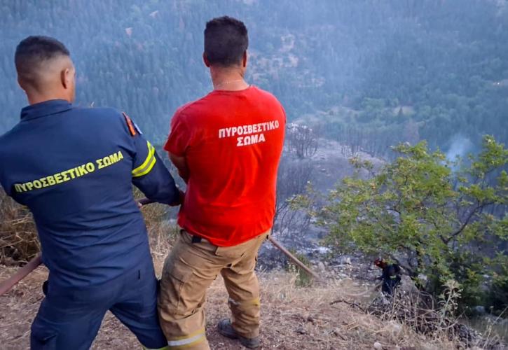 Πυρκαγιά στην Κάρυστο - «Σηκώθηκαν» 5 εναέρια μέσα