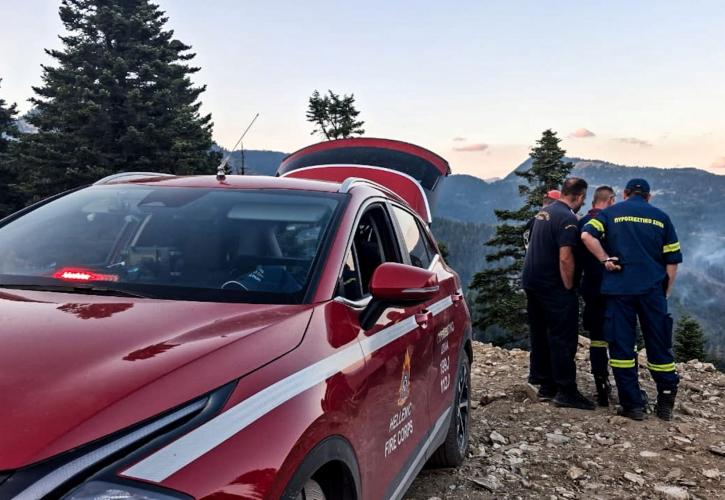 Βελτιωμένη η εικόνα από την πυρκαγιά στη Βοιωτία