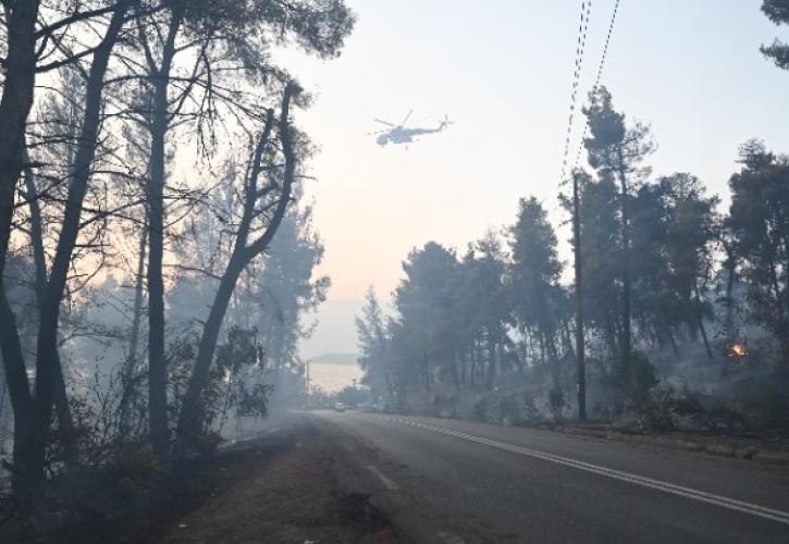 Αισθητά μικρότερη η έκταση του καμένου δάσους από τη συνολική έκταση που καταστράφηκε από την πυρκαγιά στη Σίβηρη Χαλκιδικής