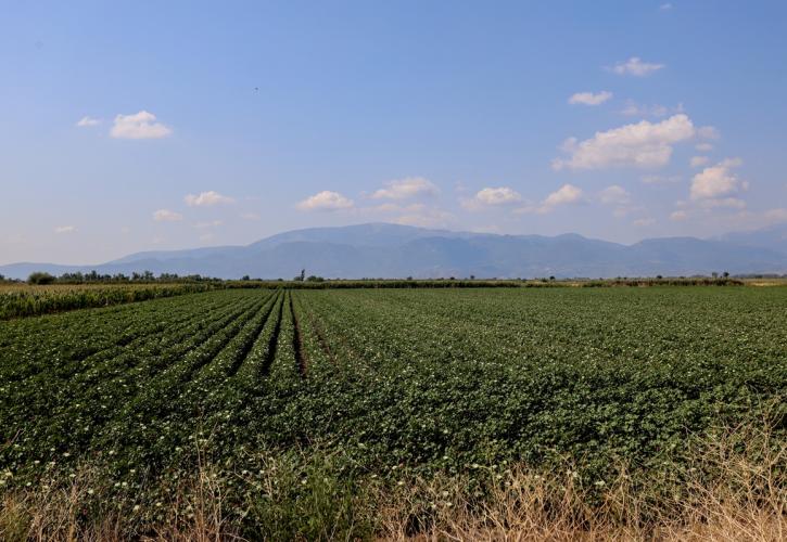 Στα 263,5 εκατ. ευρώ ο προϋπολογισμός των Σχεδίων Βελτίωσης για γεωργικές εκμεταλλεύσεις
