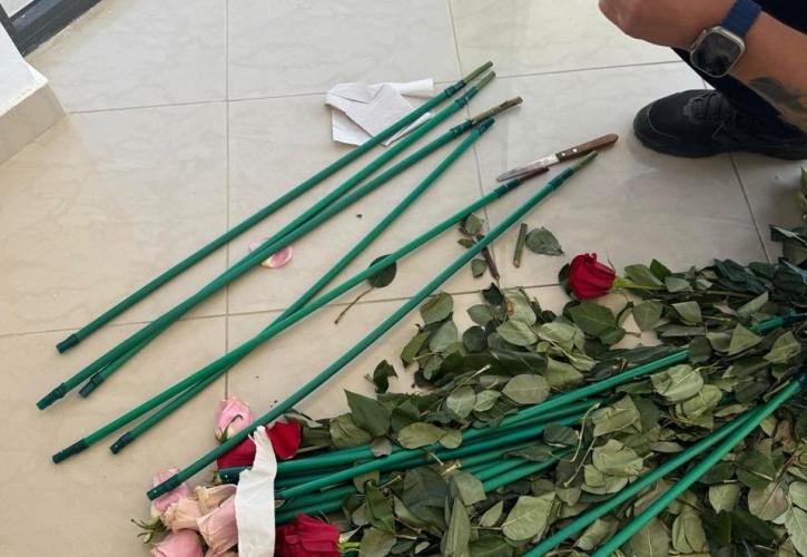 Επιχείρηση «Τα άνθη του κακού»: Κύκλωμα έκρυβε 84 κιλά κοκαΐνης μέσα σε τριαντάφυλλα