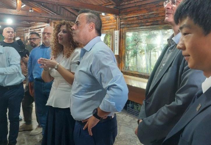 Παπασταύρου: «Καθοριστικός ο ρόλος της Δασικής Υπηρεσίας»