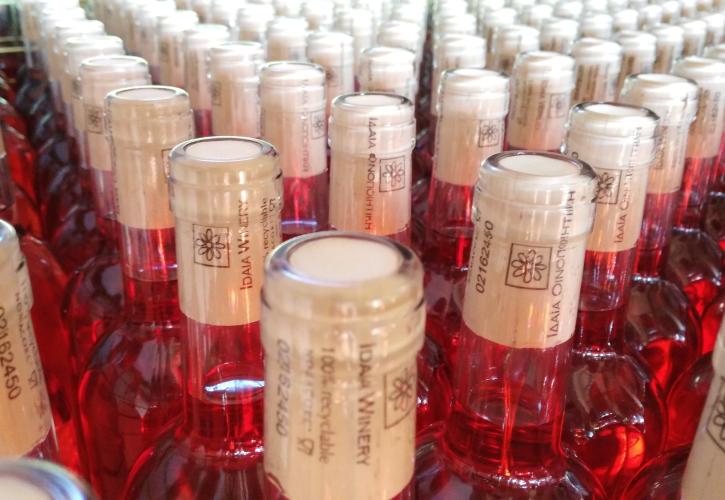 Μια γεύση από την «Ιδαία» που έγινε... πράξη