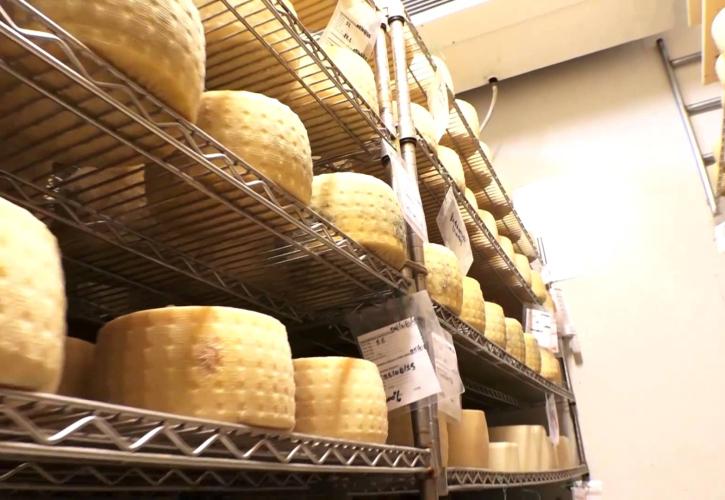 Το μικρό τυροκομείο της Ίου «βάζει τα γυαλιά» στον κλάδο