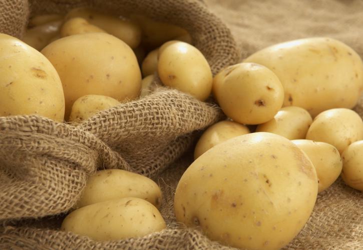 Στα «αζήτητα» οι ελληνικές πατάτες