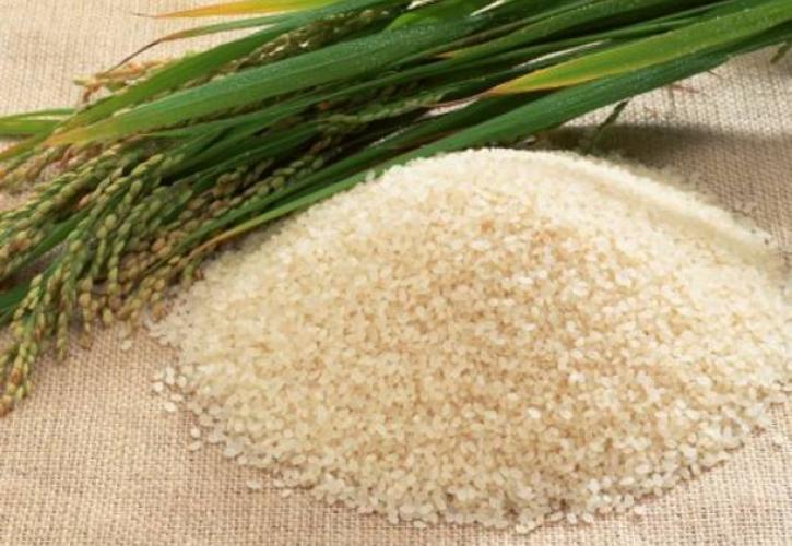 Τρ. Πειραιώς: Υποχώρησαν οι διεθνείς τιμές σιταριού, καλαμποκιού και ρυζιού το 2023 - «Φωτιά» ο χυμός πορτοκαλιού και τα βοοειδή