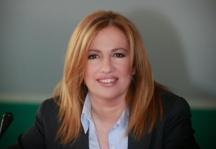 Ανδρουλάκης για Φ. Γεννηματά: Ήταν μια πραγματική μαχήτρια της ζωής