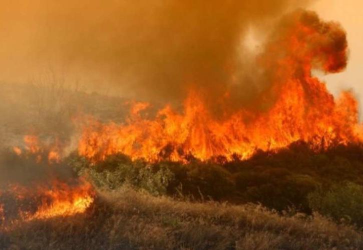 Φωτιά περιμετρικά της πόλης του Βόλου