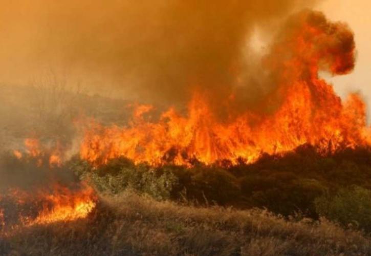 Φωτιά στην Εύβοια - Καίει κοντά στο Μαντούδι