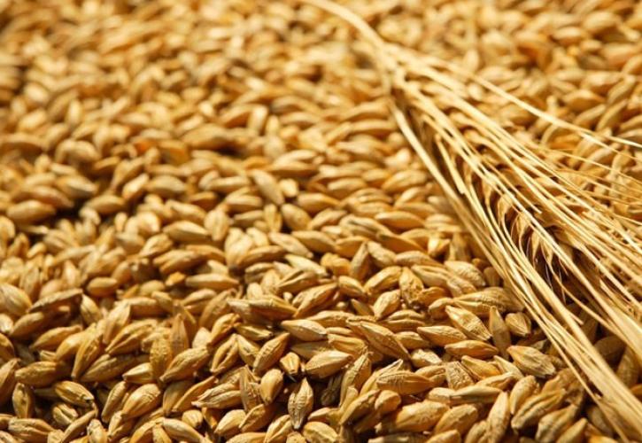 Πως θα διαχωρίσουμε την ήρα από το στάρι;