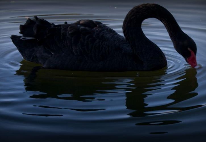 Οι «μαύροι κύκνοι» που απειλούν τις αγορές