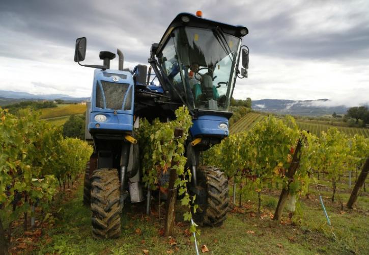 Το ιταλικό κρασί μπαίνει διστακτικά στον 21ο αιώνα