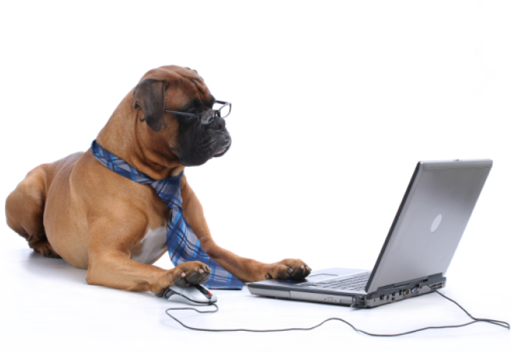 Εφαρμογές και gadget ιδανικά για κατοικίδια