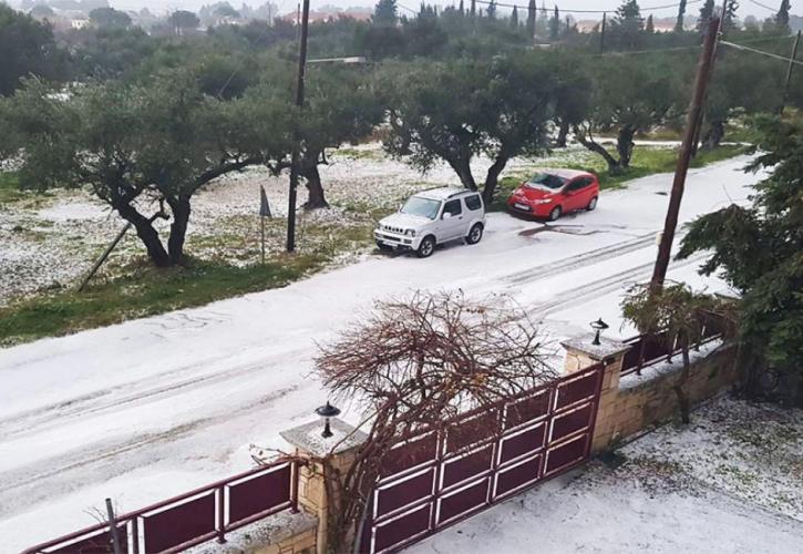 Κοζάνη: Σημαντικές ζημιές στους ελαιώνες του δήμου Ιμέρων από χαλαζόπτωση