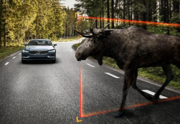 H Volvo αποτελεί πρότυπο για τους φιλόζωους