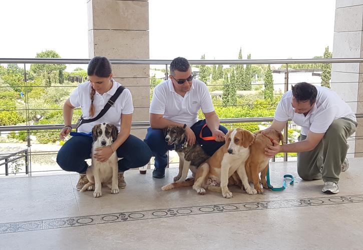 Τριήμερο αφιερωμένο στα κατοικίδια στην Costa Navarino