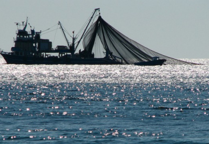 Δέκα εκατομμύρια τόνοι ψαριών πετιούνται πίσω στη θάλασσα