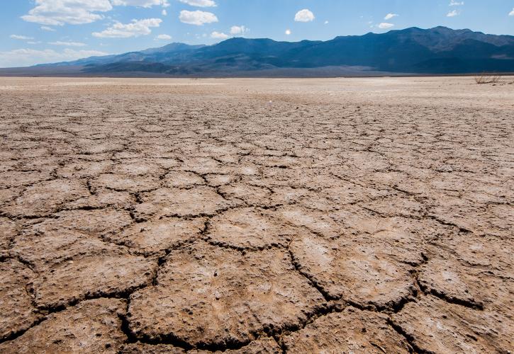 Η ξηρασία πλήττει την αγορά τροφίμων και αυξάνει τα ποσοστά υποσιτισμού