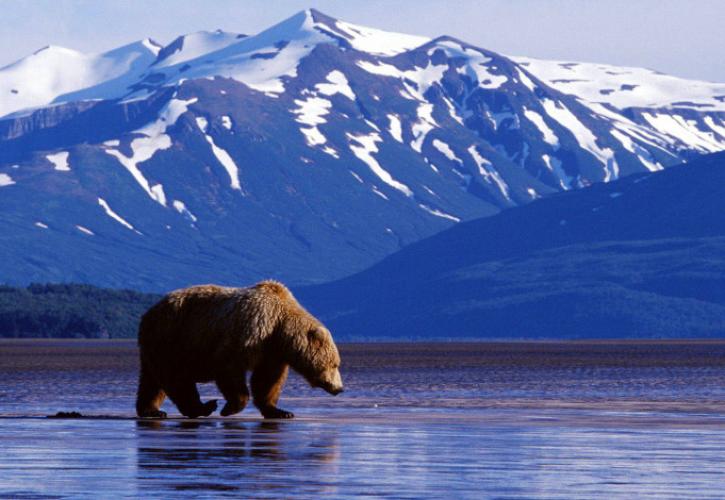 ΗΠΑ: Ο Μπάιντεν ανακαλεί τις άδειες εκμετάλλευσης του καταφυγίου άγριας ζωής στην Αρκτική