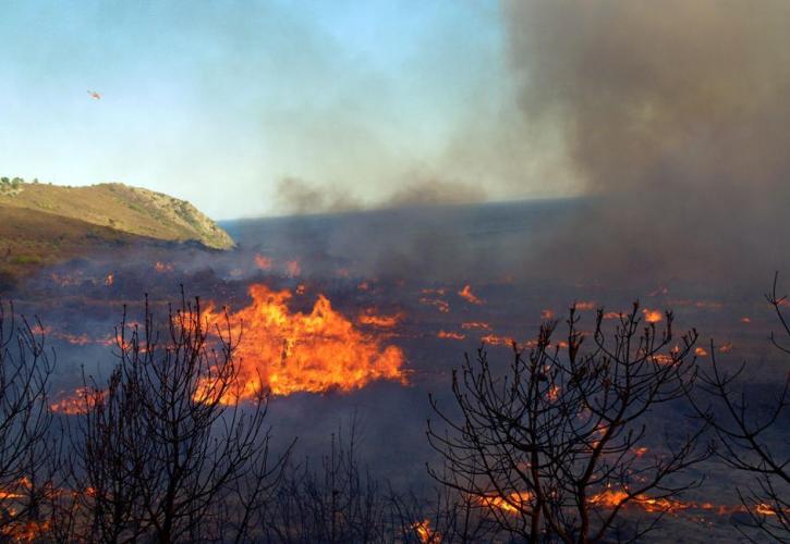 Υπό μερικό έλεγχο η φωτιά στην Πούντα Αιγιαλείας