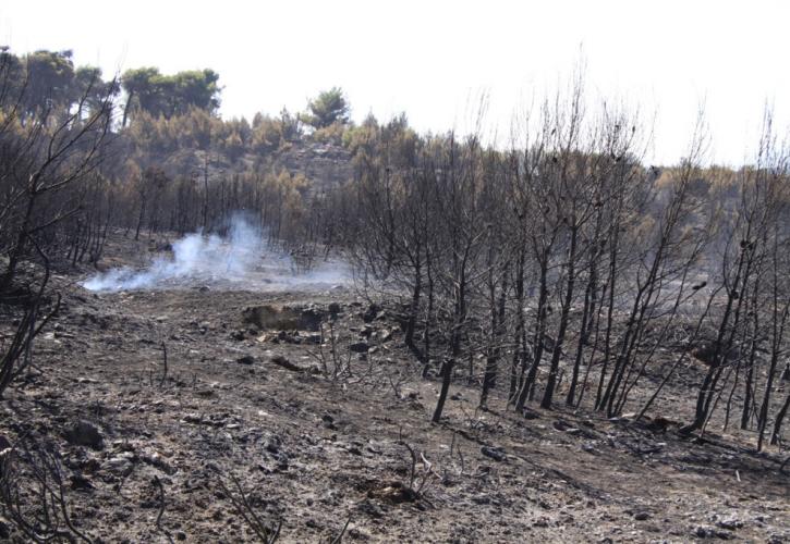 Ενεργοποιήθηκε το σύστημα χαρτογράφησης των καμμένων σε Αττική και Ζάκυνθο