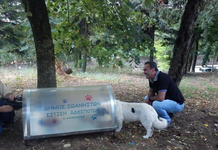 Προτάσεις για τα αδέσποτα