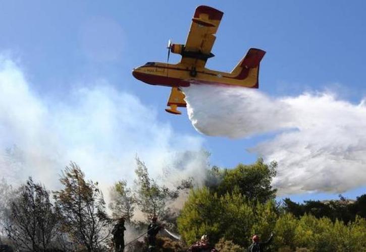 Μάχη με τις φλόγες στο Αργάσι της Ζακύνθου