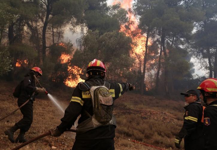 Πολύ υψηλός κίνδυνος πυρκαγιάς το Σάββατο σε τρεις περιφέρειες