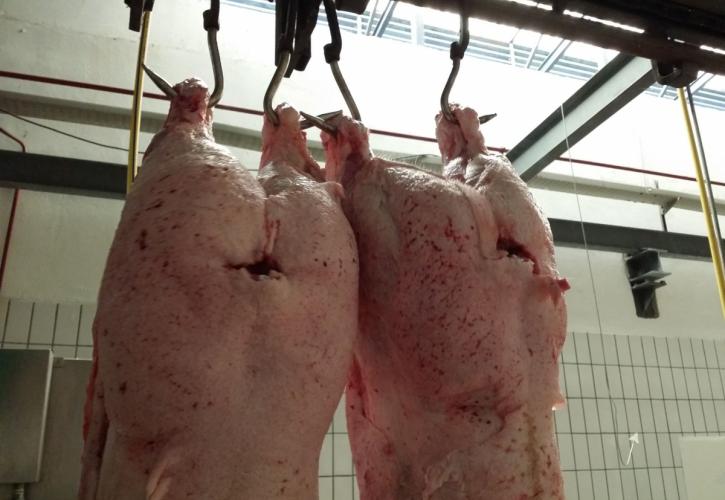 Κίνα: «Αγοράζει» χοιρινό κρέας για την αναπλήρωση των αποθεμάτων
