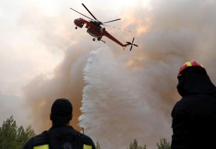 Σαράντα δύο δασικές πυρκαγιές μέσα στο τελευταίο 24ωρο