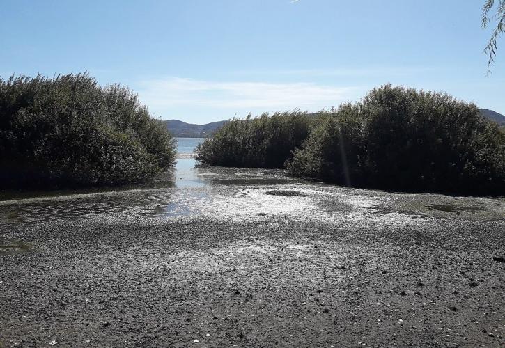 «Στέγνωσε» η λίμνη της Καστοριάς (pics)