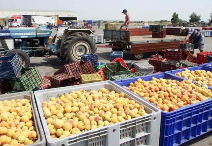 «Φρένο» στις εξαγωγές φρούτων βάζει η μειωμένη παραγωγή