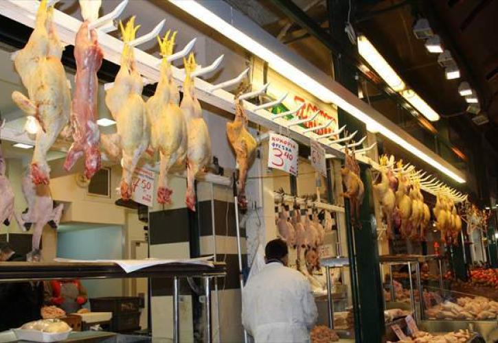 Πτήση χωρίς αναταράξεις για τη τιμή της γαλοπούλας
