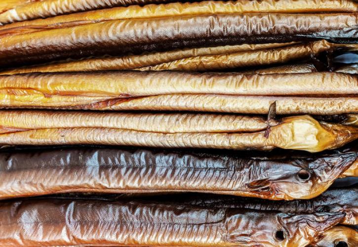 Στο κυνήγι του διεθνούς λαθρεμπορίου χελιών η Ελλάδα