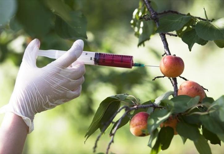 55 διοικητικοί υπάλληλοι στον Τομέα της Δημόσιας Υγείας στην ΕΕ