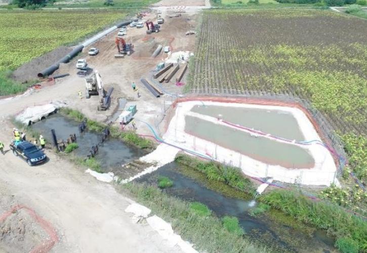 Ο TAP συμβάλει στην προστασία της χλωρίδας και της πανίδας