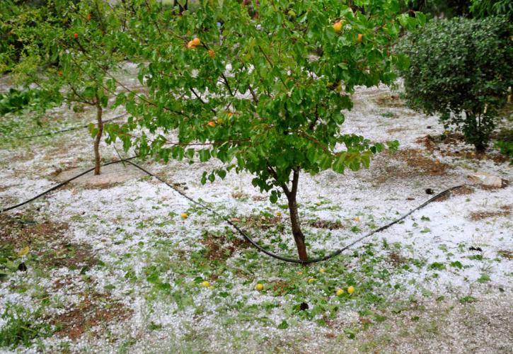 Θερμοκήπια και αντιχαλαζιακά «ασπίδα» των αγροτών στα καιρικά φαινόμενα