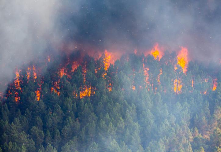 Σε εξέλιξη οι πυρκαγιές σε Κιλκίς και Καστοριά: Ήχησε το 112 - Επιχειρούν εναέρια μέσα