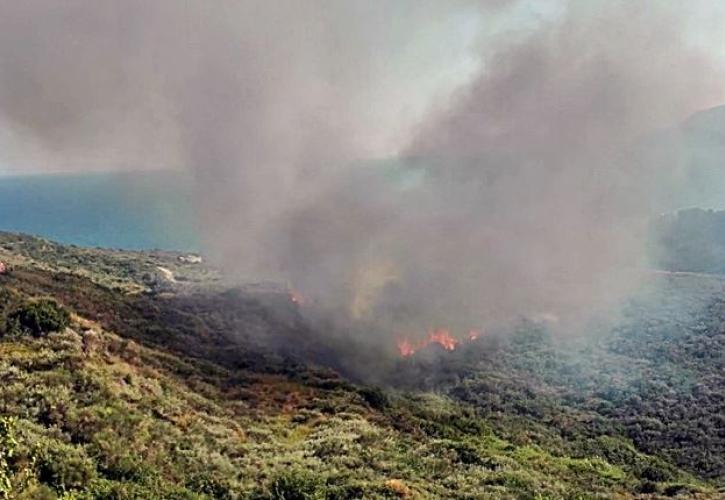 Έπεσε πυροσβεστικό PZL στη Ζάκυνθο - Σώος ο πιλότος