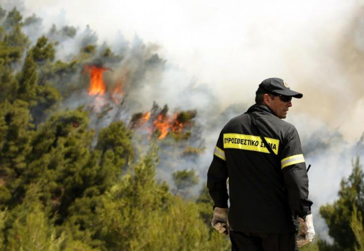 Κρυονέρι: Υπό έλεγχο τέθηκε η πυρκαγιά που ξέσπασε το πρωί
