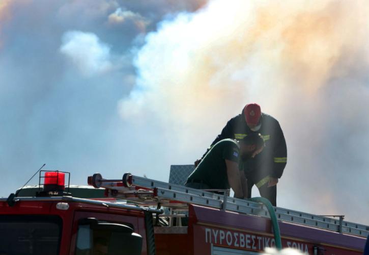 Ξέσπασε φωτιά σε δασική έκταση στην Χαλκιδική