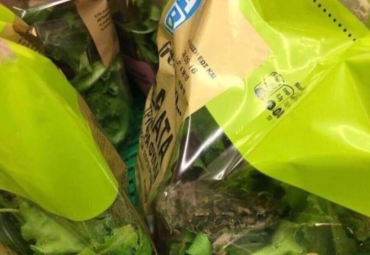 Τι λέει η ΑΒ Βασιλόπουλος για το περιστατικό με το βάτραχο στη συσκευασμένη σαλάτα