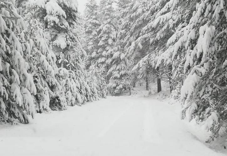 Έπεσαν τα πρώτα χιόνια - Στους δρόμους τα εκχιονιστικά (pics & vids)
