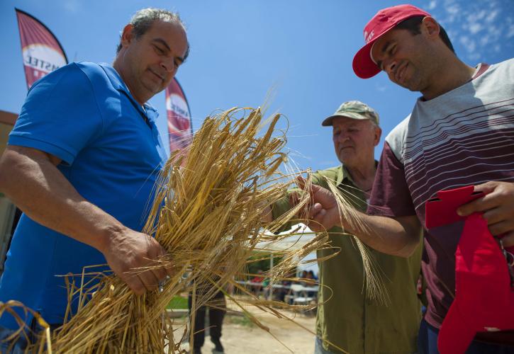 Μπίρα από ελληνικό κριθάρι θα πίνουν σε Αυστρία και Ισραήλ 