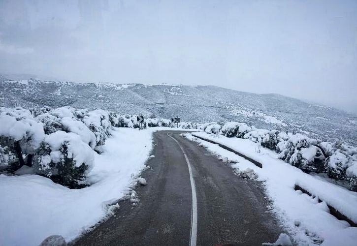 Λαμία: Σε πλήρη ανάπτυξη ο μηχανισμός αντιμετώπισης της κακοκαιρίας στη Στερεά Ελλάδα