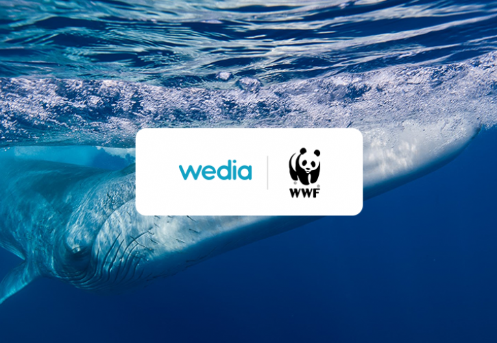 Από την Wedia η online πλατφόρμα υποστήριξης των δράσεων του WWF Ελλάς