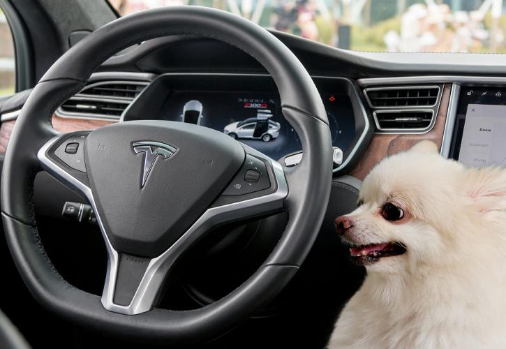 Το Tesla «Dog Mode» προστατεύει τους σκύλους! (vid)